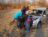 Les routes de l'impossible : Botswana, sauve qui peut