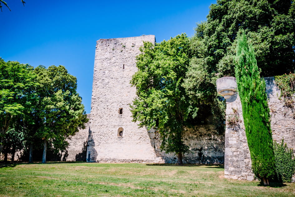 Le ch&acirc;teau des Adh&eacute;mar