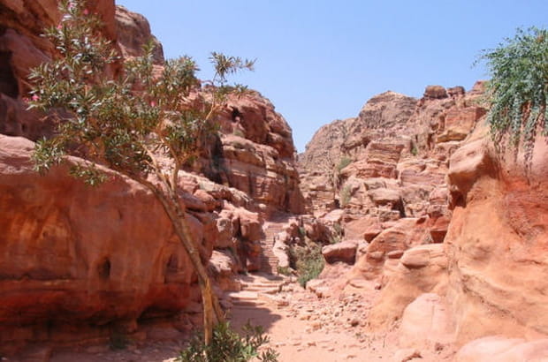 Le secret de l'Orient