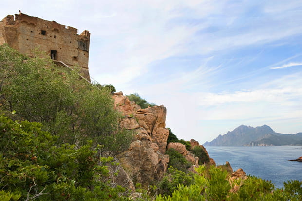 La tour génoise de Porto