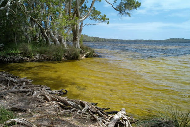 L'étrange lac Myall