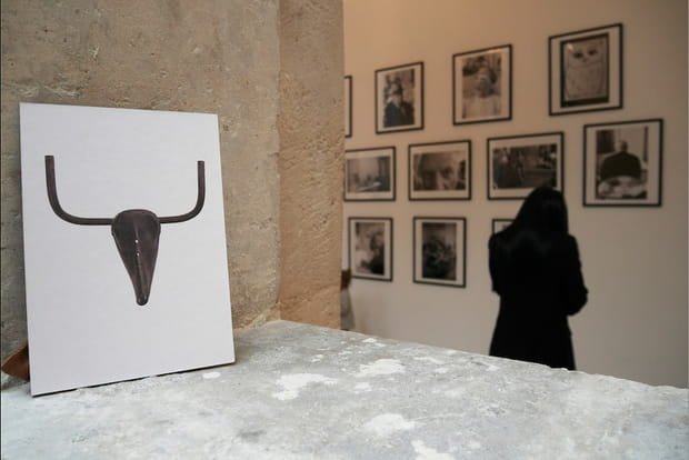 Histoire d'une collection