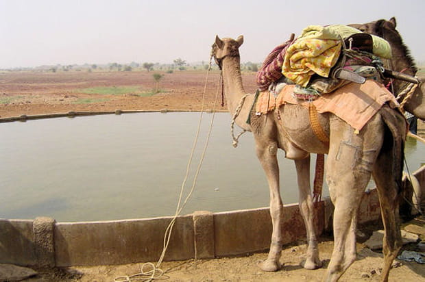 Un tour du monde engagé et écolo