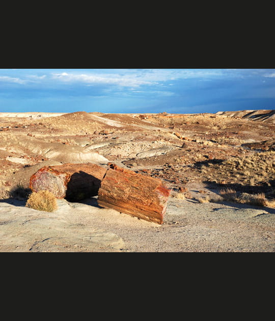 La for&ecirc;t p&eacute;trifi&eacute;e en Arizona