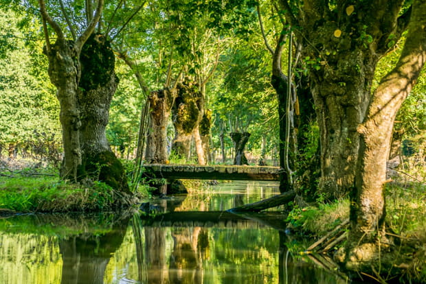 En Vendée avec Pieds d'AventureS