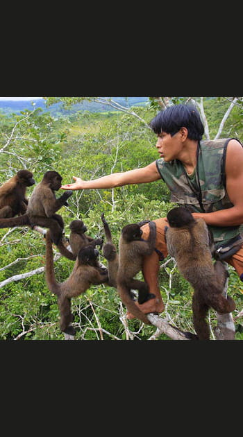 A la rescousse des singes laineux au P&eacute;rou