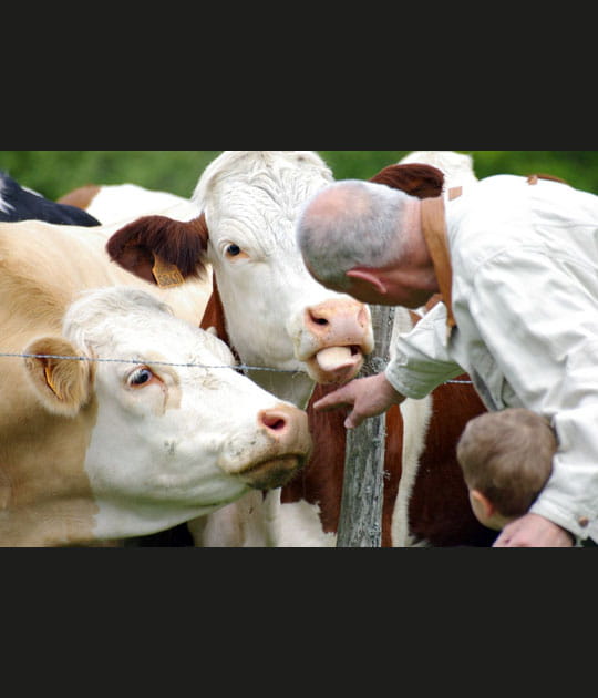 Apprentissage