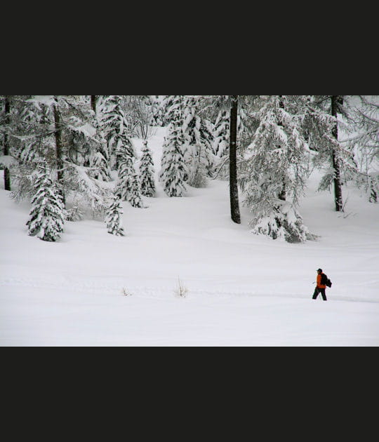 Des chemins dans la neige