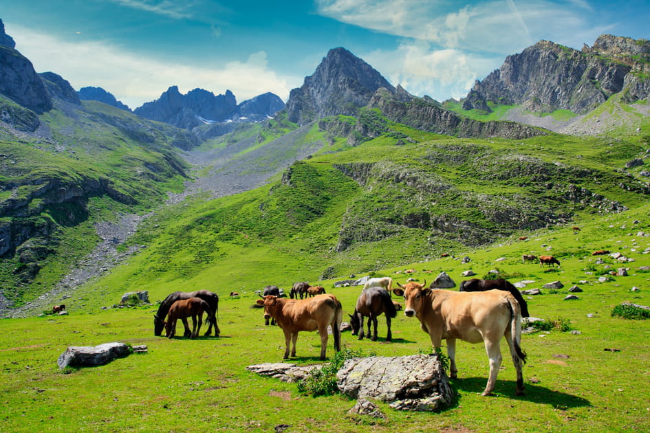 Parc naturel de las Ubi&ntilde;as-La Mesa