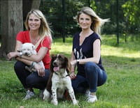 Animaux à adopter : nouvelle famille pour une nouvelle vie