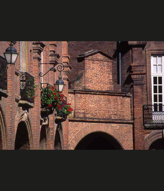 La rose du Tarn-et-Garonne