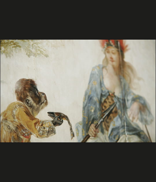 Singes et hommes