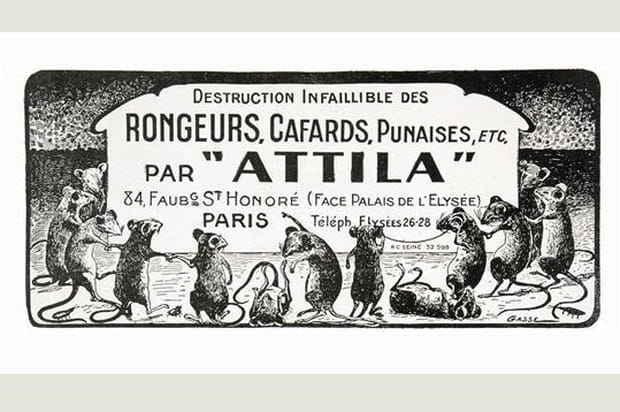 Produits dératiseurs Attila