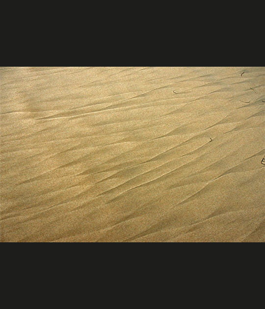 Sable 4