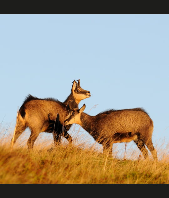 L'image de la semaine du 11 octobre 2011