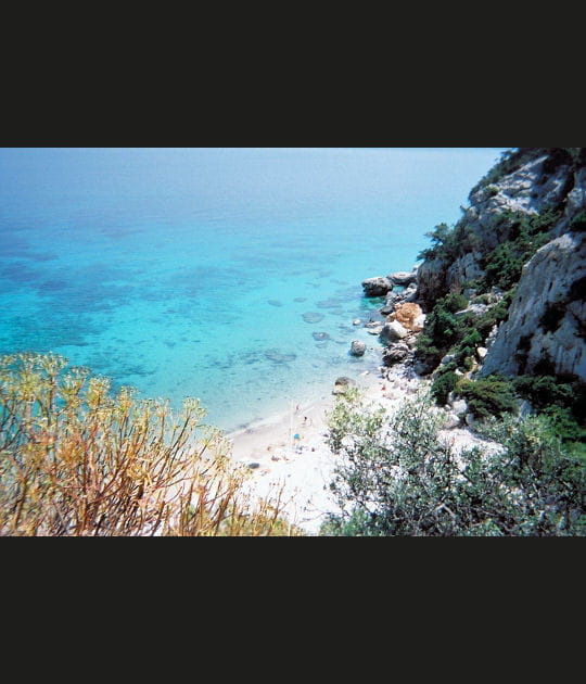 Le secret des criques