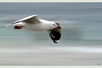 Les meilleures photos de novembre sur la Galerie