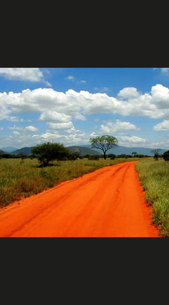 Au c&oelig;ur de la savane