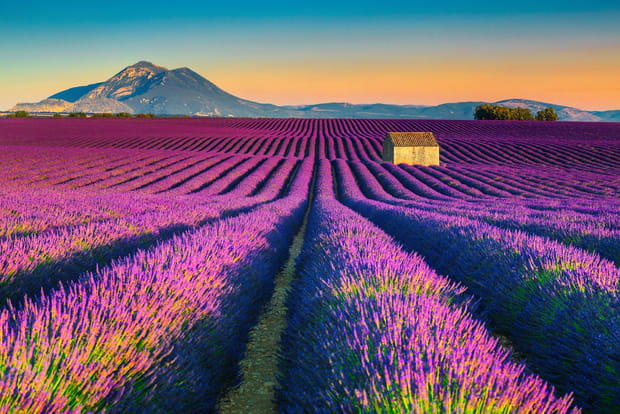 Valensole