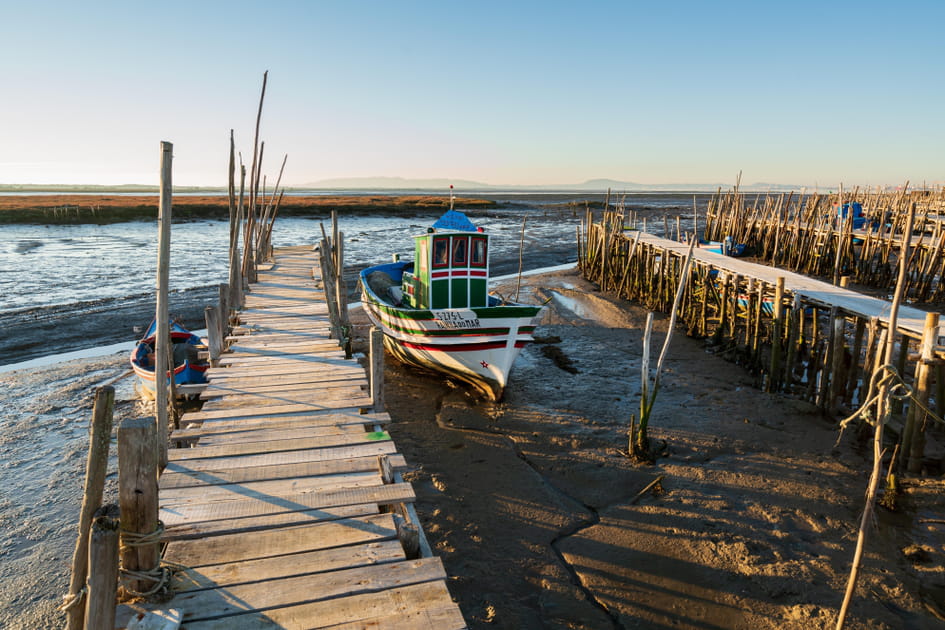 Comporta