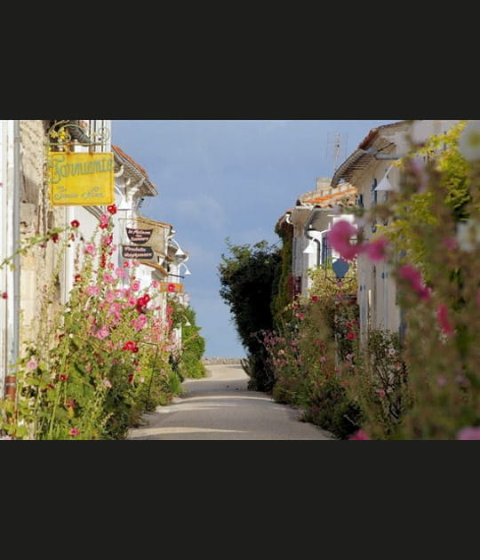 Talmont-sur-Gironde, Charente-Maritime