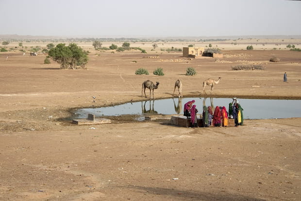 Le désert du Thar en Inde