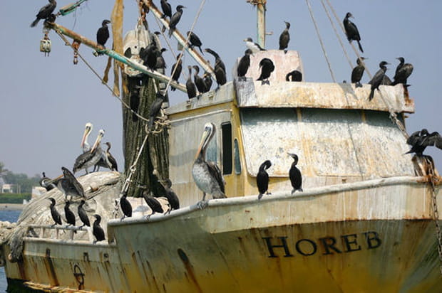 De bonnes augures ?