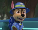 Paw Patrol, la Pat'Patrouille