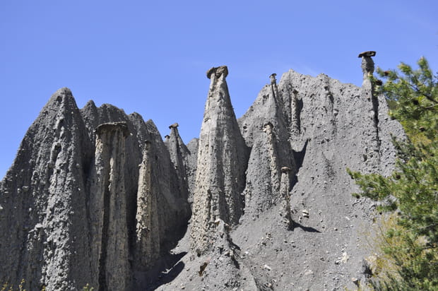 Demoiselles Coiffées de Théus