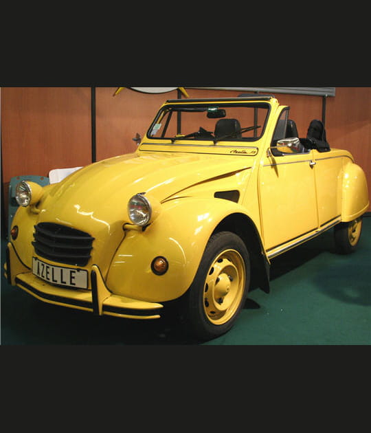 Deux chevaux dans le vent