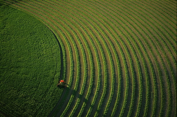 Les méfaits de l'agriculture intensive