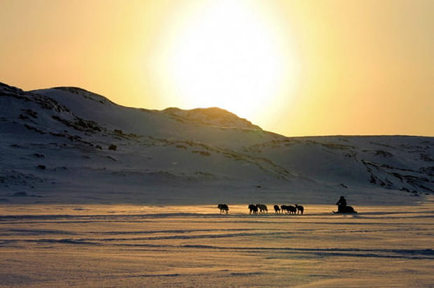 Course vers les pôles