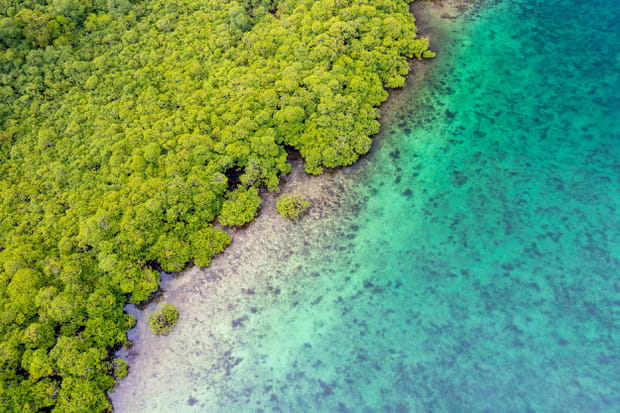 L'archipel de Bocas del Toro au Panama