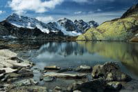 photo nature