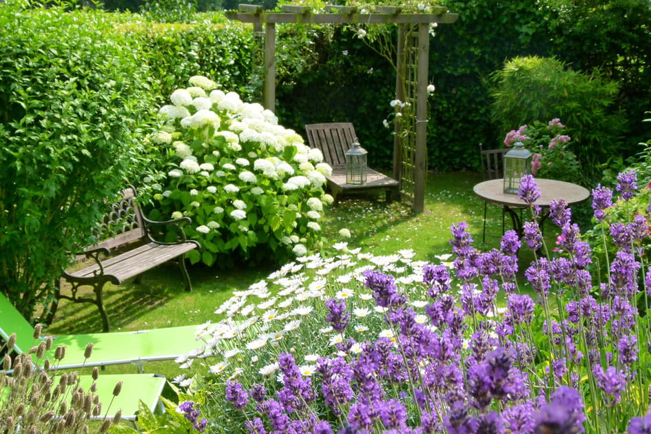 Le plus beau jardin est celui de Martine