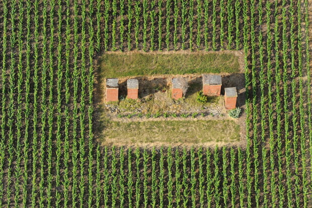 Les essors du vignoble d'Aÿ