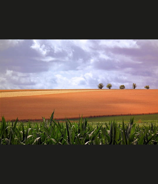 Le temps des couleurs