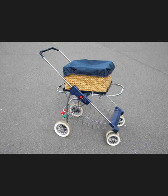 Poussette de courses