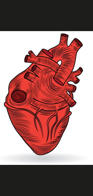 Mauvais organes transplant&eacute;s