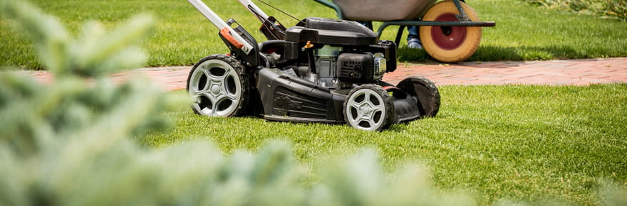 Trop de monde oublie ce geste&nbsp;: voici ce qu'il ne faut absolument pas n&eacute;gliger avant de ranger sa tondeuse pour l'hiver