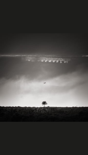 Les lignes de fuite