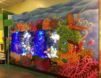 Les rois des aquariums : Un palace pour poissons