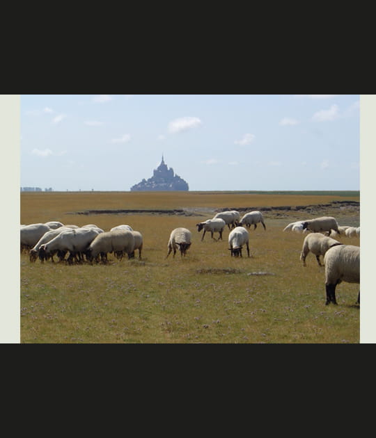 Mont-St-Michel