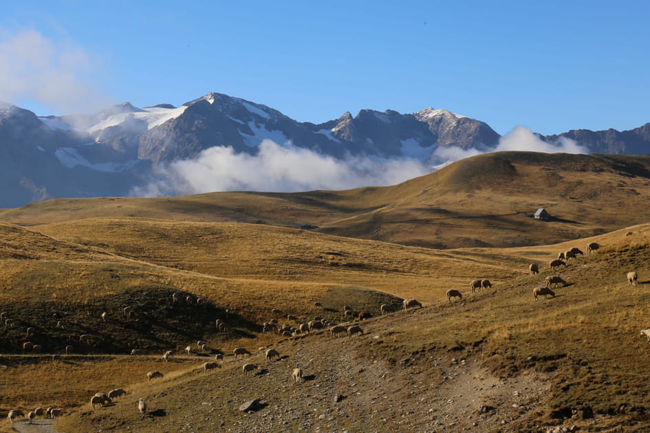 Le plateau d'Emparis