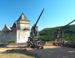 La grande histoire des châteaux forts