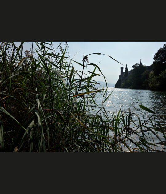 Aper&ccedil;u du lac du Bourget