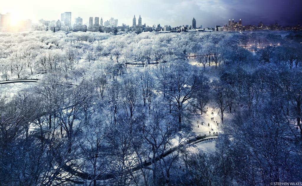 Central Park sous la neige