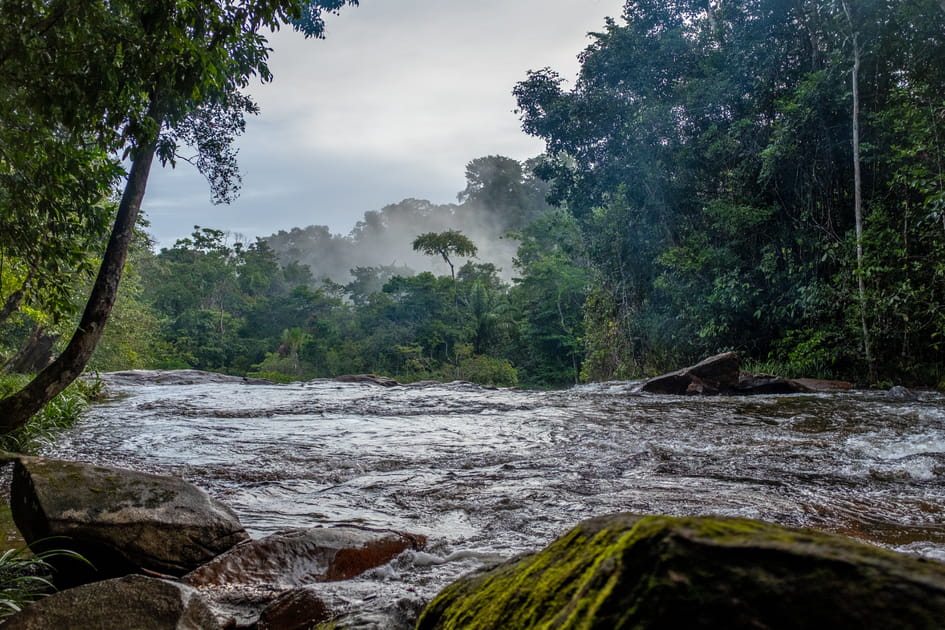 Le parc amazonien de Guyane