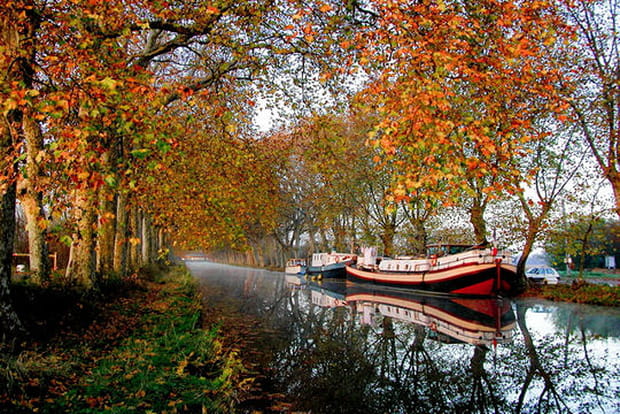 Couleurs d'automne à Portiragnes