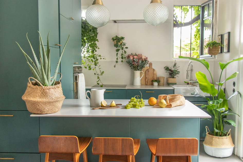 Des plantes vertes
